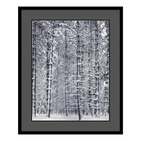 Amanti Art 27 in. W x 33 in. H 'Pine Forest in the Snow, Yosemite National Park' by Ansel Adams Printed Framed Wall Art