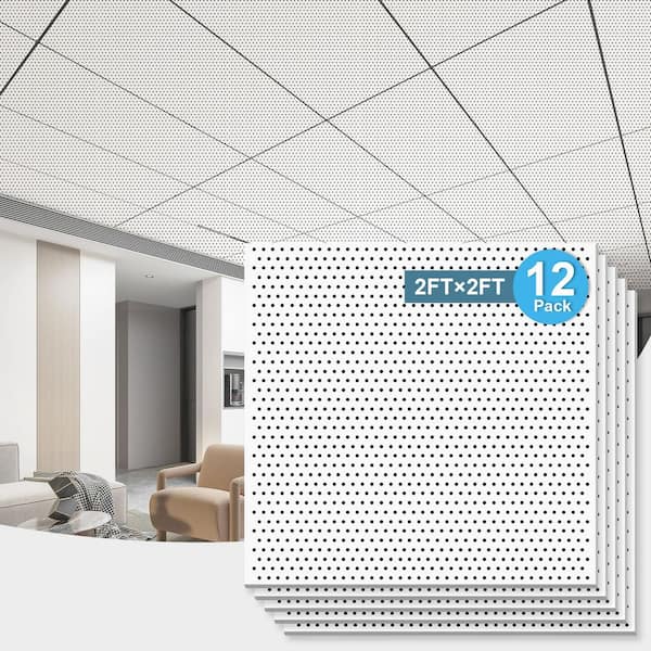 12-Pack White Square Edge 2 ft. x 2 ft. Decorative Acoustic Drop In Ceiling Tile (48 sq. ft. /case)
