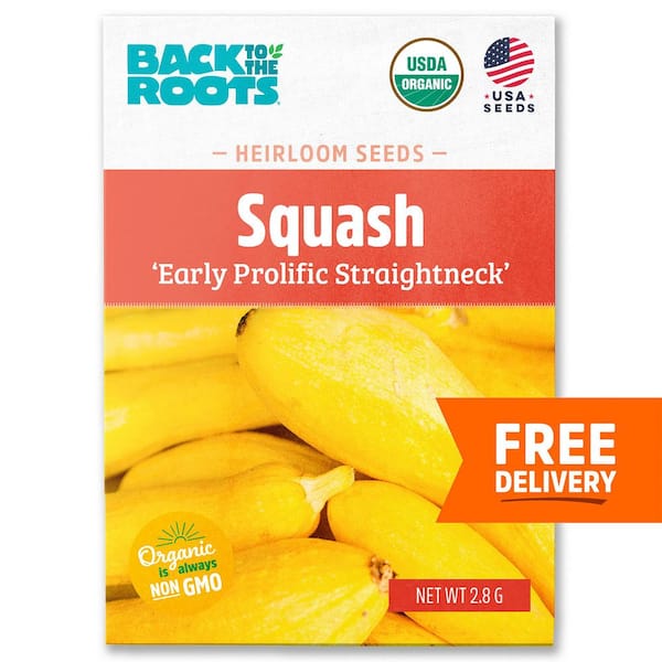Organic Squash 'Early Prolific Straightneck' Gardening Seeds