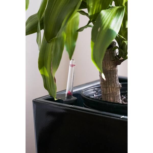 BAPE X NBHD 】PLANT POT | bape.com