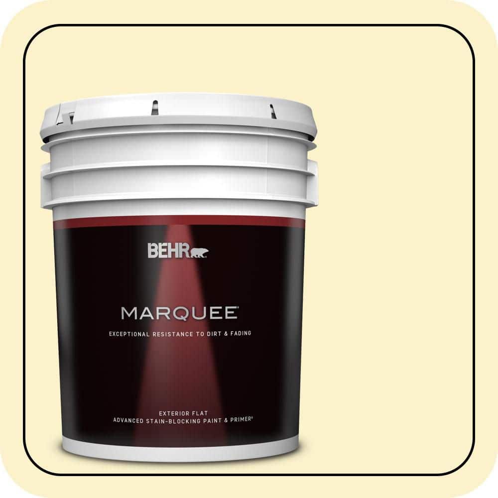 5 gal. #390A-3 Twinkle Flat Exterior Paint & Primer price history on PriceWatchPro