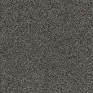 Serene Glory II-Steady Gray-55 oz. SD Polyester Texture Installed Carpet