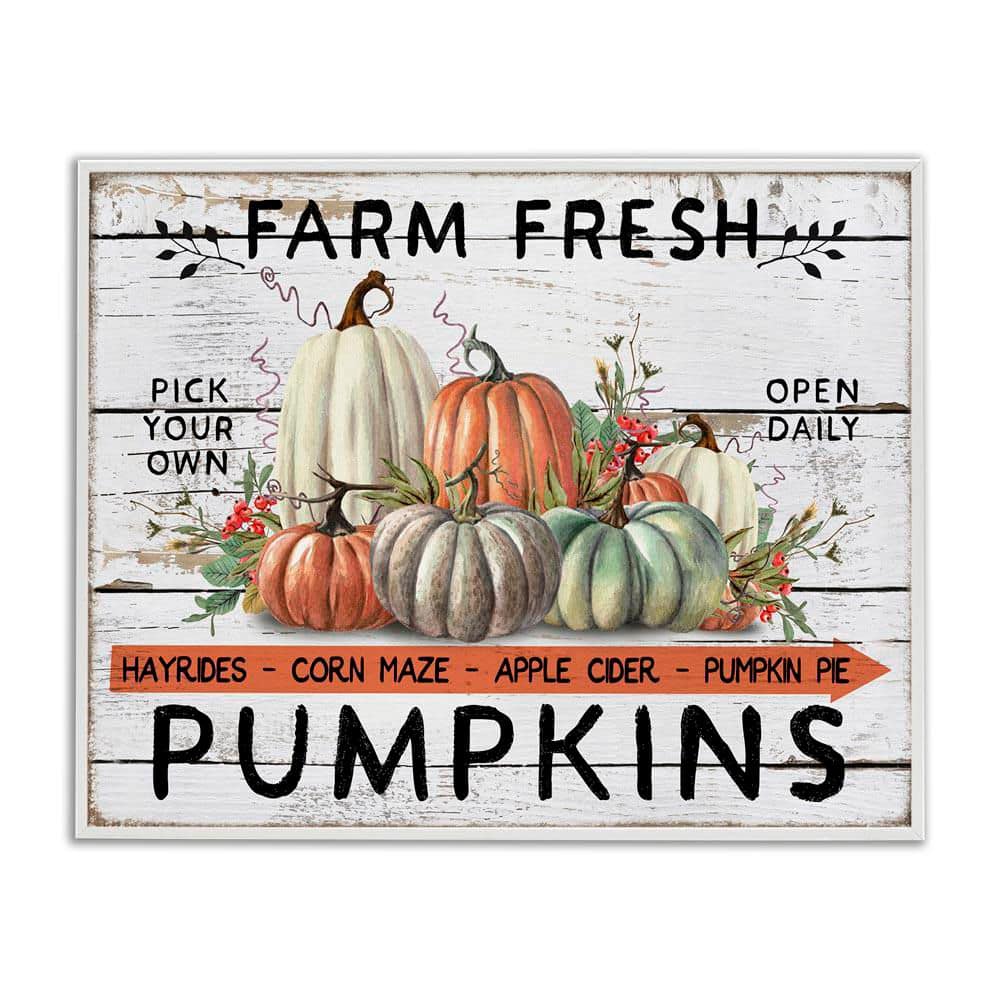 Fresh Pumpkin Mound by Creatif Belle White Framed Graphic Typography Art Print 24 in. x 30 in. price history on PriceWatchPro