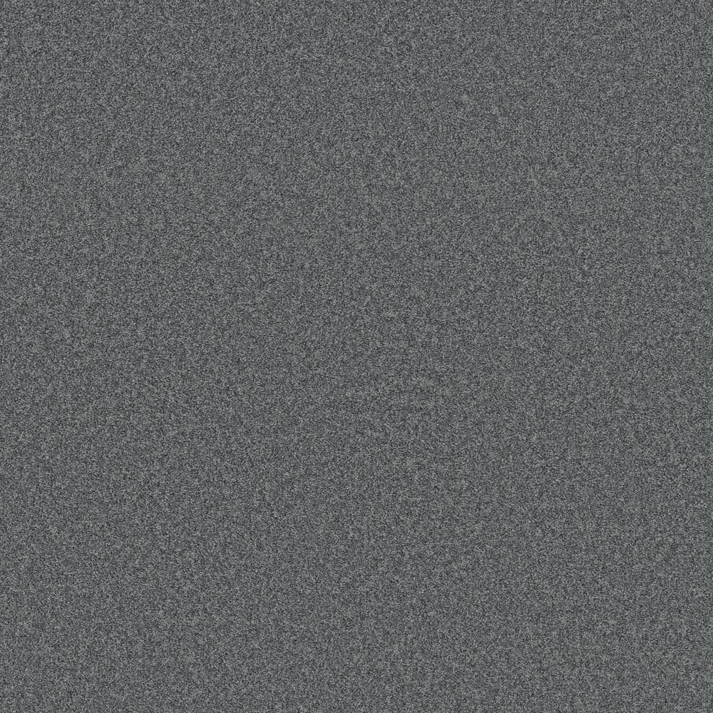 8 in. x 8 in. Texture Carpet Sample - Coastal Charm II -Color Ocean Villa price history on PriceWatchPro