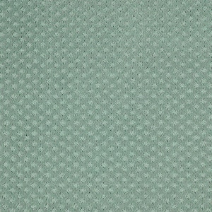Transcends Time Laguna Mist Green 39 oz. Triexta Pattern Installed Carpet