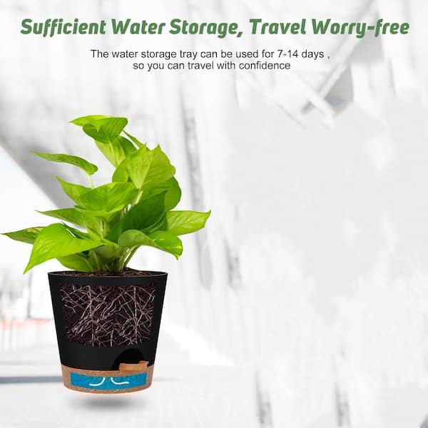money tree plant fertilizer Professional Liquid Money Tree Fertilizer