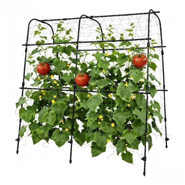 5.3 ft. Metal Garden Trellis for Raised Beds with Netting, Rust-Resistant Plant Support for Climbing Vegetables, Black