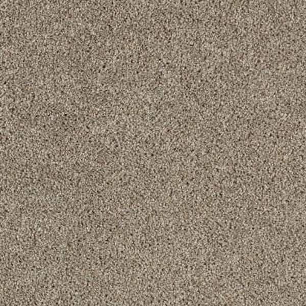 Lifeproof 8 in. x 8 in. Texture Carpet Sample - Gorrono Ranch II -Color Uptown