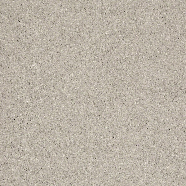Home Decorators Collection Carpet Sample - Cressbrook I - In Color Silver Sand 8 in. x 8 in.