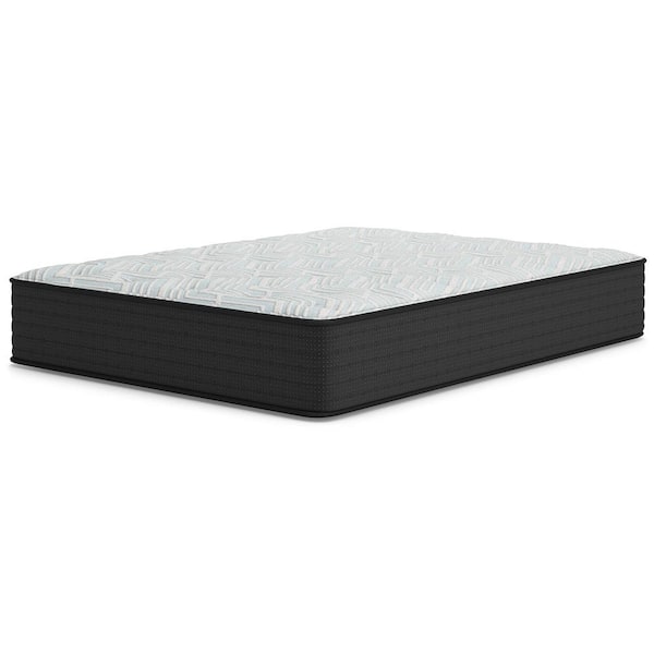 Signature DESIGN BY ASHLEY Palisades Plush Twin Plush Hybrid 14 in. Bed-in-a-Box Mattress