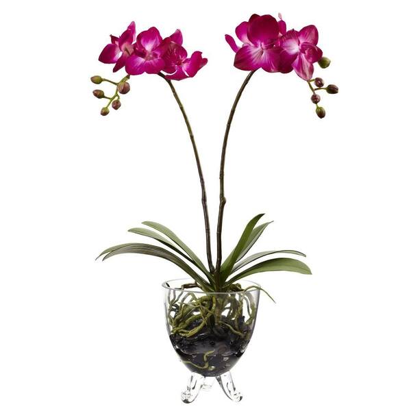 Nearly Natural Double Phalaenopsis Elegance Arrangement