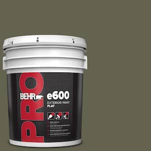 5 gal. #N350-7A Mountain Olive Flat Exterior Paint