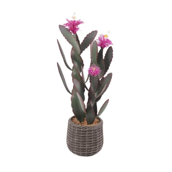 Unbranded 2.98FT Artificial Cactus Tree In Pot, Rose Red 36" Tall Artificial Realistic Texture Potted Cactus Plant For Home Garden