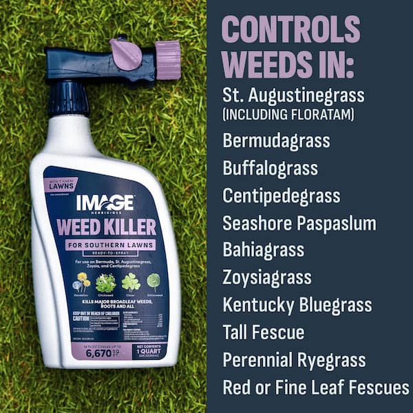 32 oz. Southern Lawn Weed Killer Ready-To-Spray for St. Augustinegrass and Centipedegrass