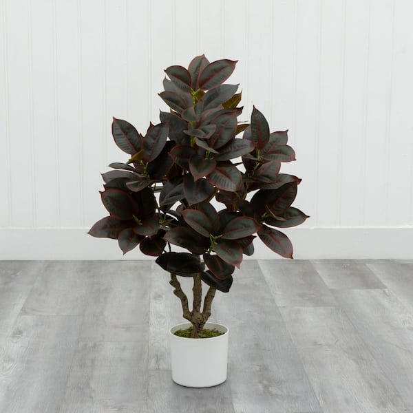 2.9 ft. Artificial Burgundy Rubber Fig Tree in White Pot