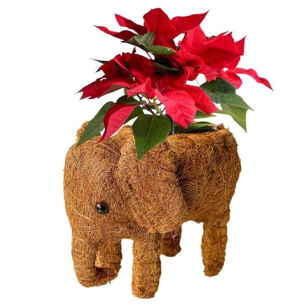 Pride Garden Products AquaSav Coco Critter Elephant fits 4 in drop