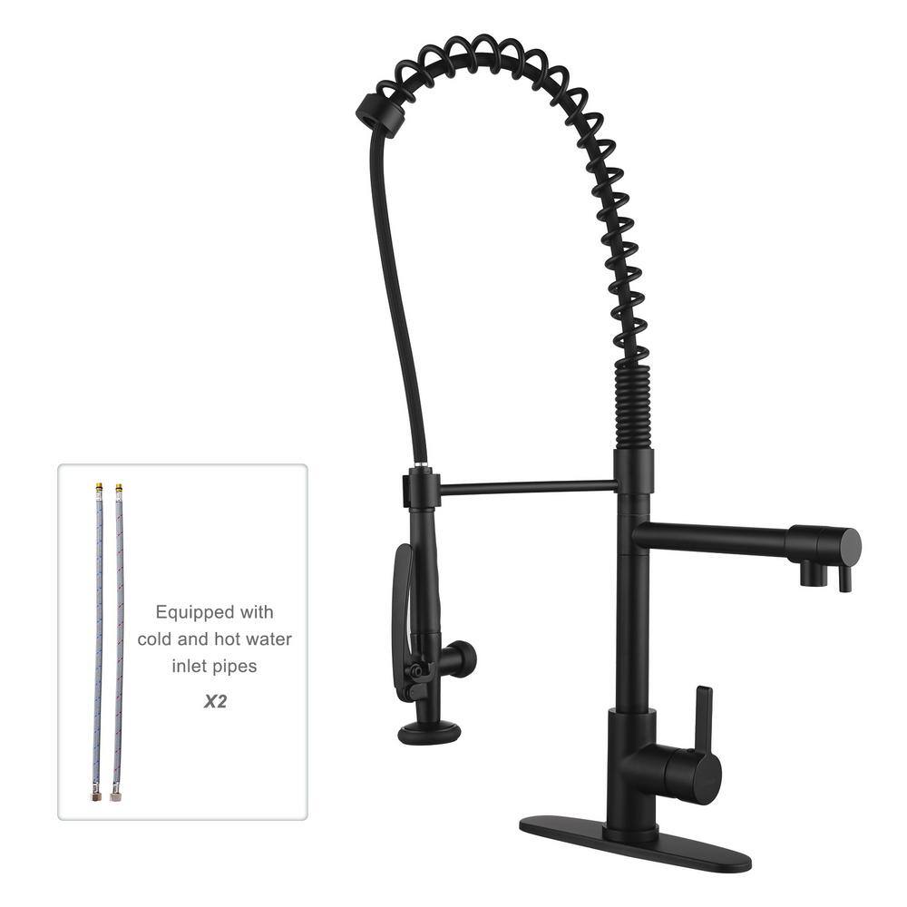 ALEASHA Single Handle Pull Out Sprayer Kitchen Faucet with Deckplate in