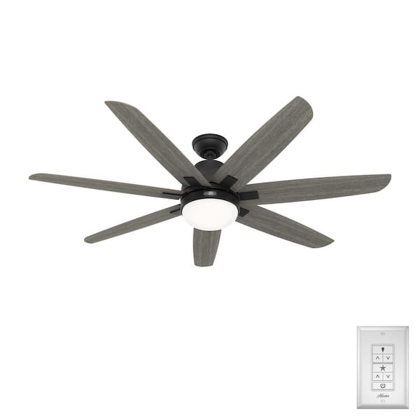 Hunter Wilder 60 In Indoor Matte Black, 60 Inch White Ceiling Fan With Light And Remote