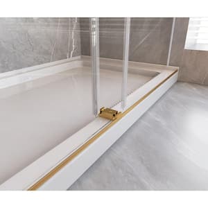 56-60 in. W x 66 in. H Double Sliding Frameless Bathtub Door in Brushed Gold with 3/8 in. Tempered Clear Glass