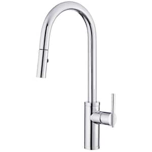 Parma Cafe Single Handle Pull-Down Sprayer Kitchen Faucet in Chrome