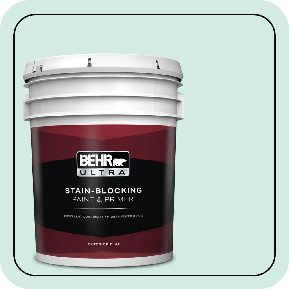 5 gal. Home Decorators Collection #HDC-MD-19 Soft Mint Flat Exterior Paint & Primer price history on PriceWatchPro