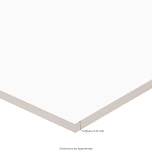 Dymo White Glossy 12 in. x 24 in. Glossy Ceramic Wall Tile (16 sq. ft./Case)