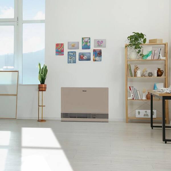 Rinnai EnergySaver 36,500 BTU Direct Vented Wall Furnace Propane