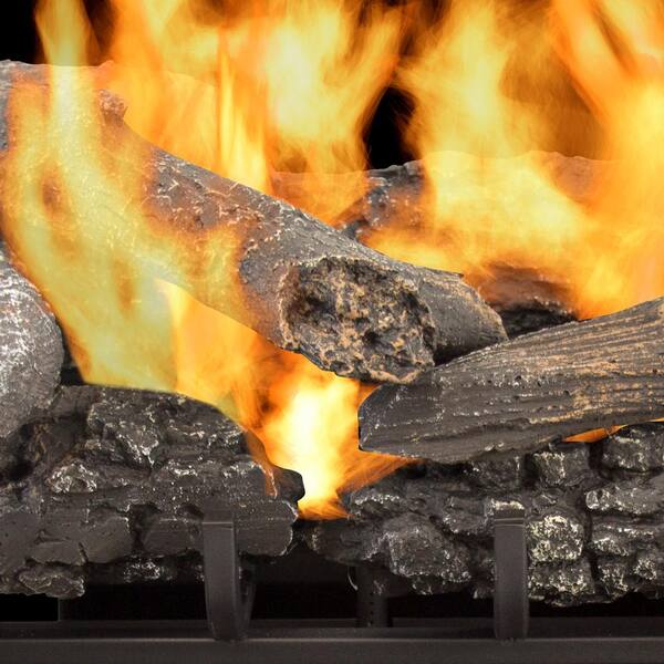 Pleasant Hearth Valley Oak 30 in. Vent-Free Dual Fuel Gas Fireplace Logs  with Remote VFL2-VO30DR - The Home Depot