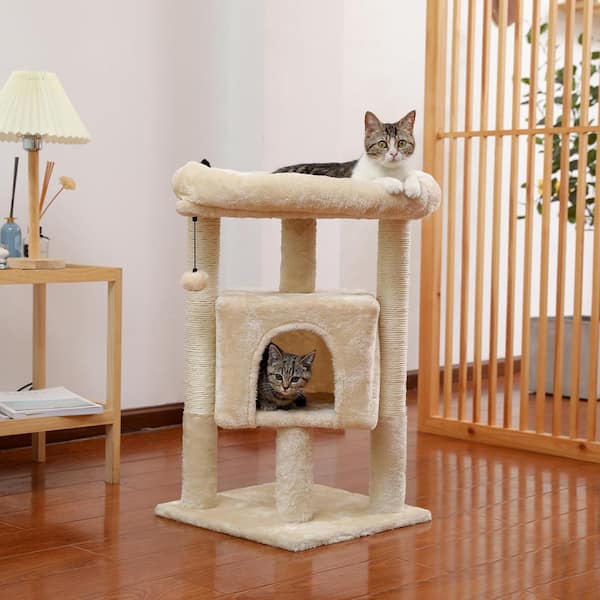 Kitten Centre Play Furniture，Beige CT001M 1 Plush Perch and Basket Cat Tower with Sturdy House IBUYKE Small Cat Tree Condo with Sisal Scratching Posts