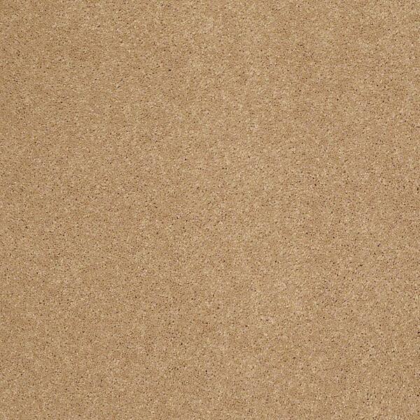Home Decorators Collection Carpet Sample - Cressbrook III - In Color Coin 8 in. x 8 in.
