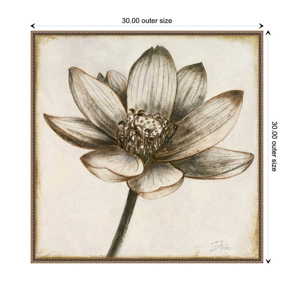Sepia Lotus Blossom II 30" x 30" Beaded Framed Canvas Wall Art