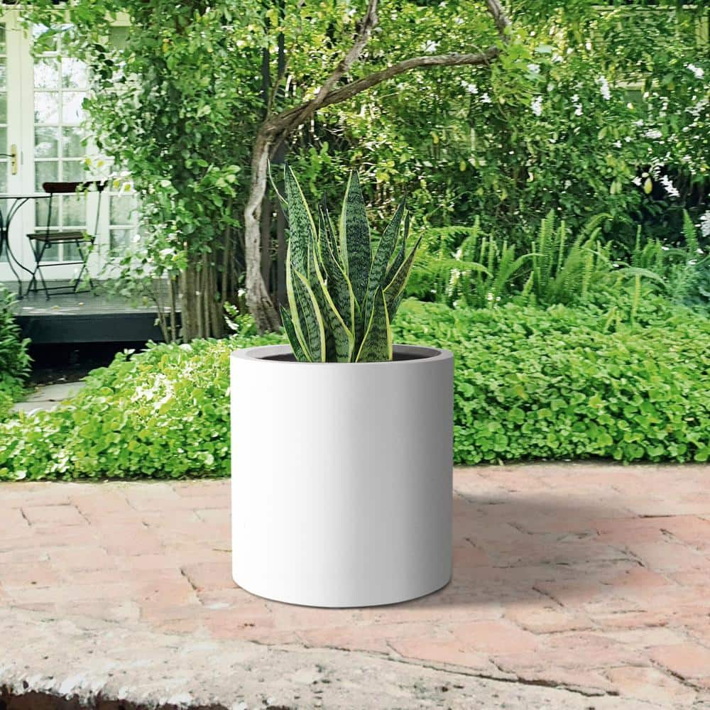 PLANTARA 10 in. D Solid White Concrete Outdoor Planter, Flower Pot ...