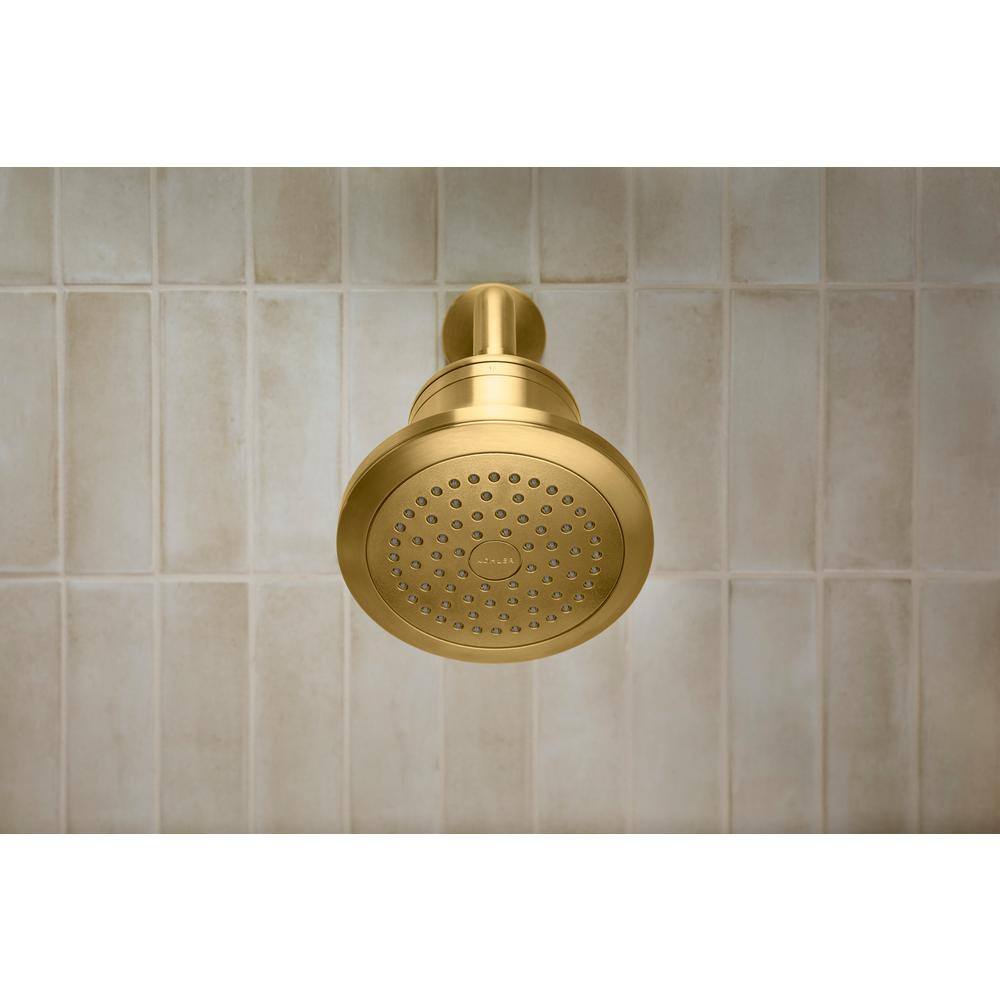 Polished Chrome Single-Function Filtered Wall Mounted Showerhead