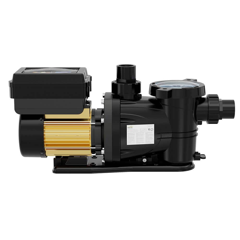Black and Gold 1 HP Variable Speed Pool Pump with Threaded Connections