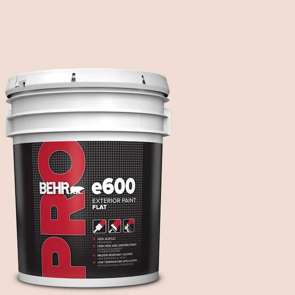 BEHR PRO 5 gal. #MQ3-34 Stolen Kiss Exterior Flat Paint