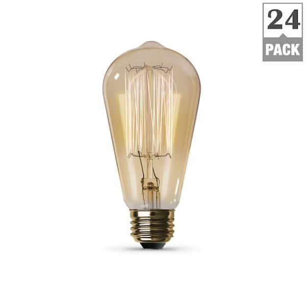 Feit Electric 60-Watt ST19 Dimmable Incandescent Amber Glass Vintage Edison Light Bulb with Cage Filament Soft White (24-Pack)