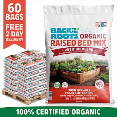Popular Picks product image
