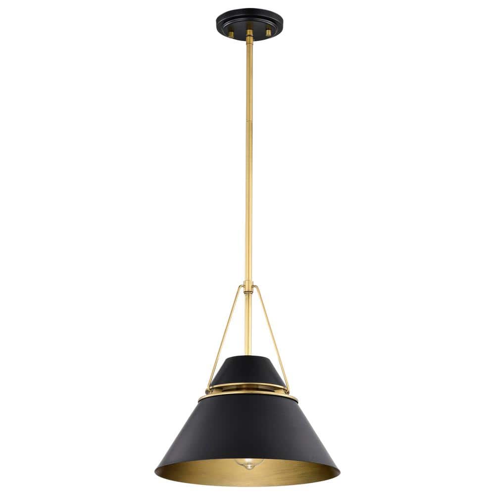 Adina 1-Light Matte Black Cone Pendant Light and No Bulbs Included price history on PriceWatchPro