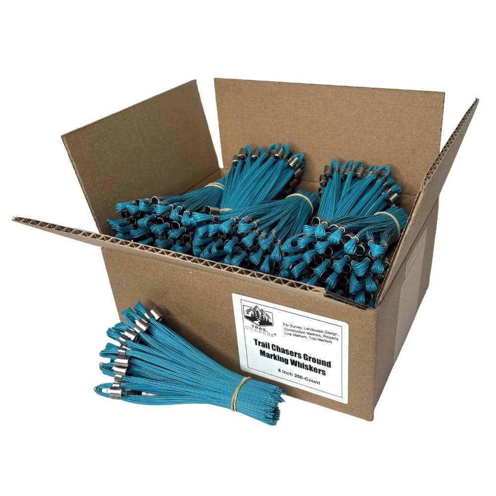 Blue 6 in. Marking Flags - (Whiskers), 250-Pack price history on PriceWatchPro
