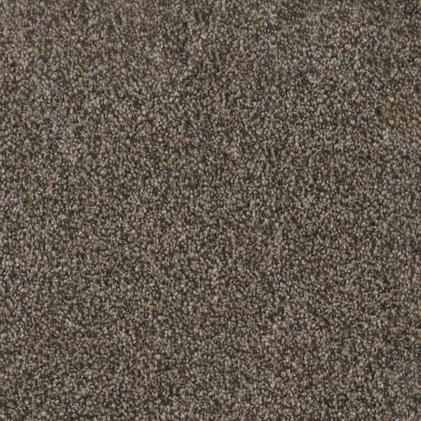 Home Decorators Collection Affectionate I - Devoted - Brown 40 oz. SD Polyester Texture Installed Carpet