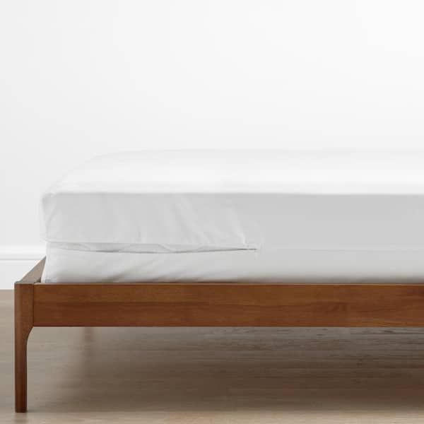 The Company Store Company Cotton 9 in. Full Mattress/Box Spring Protector