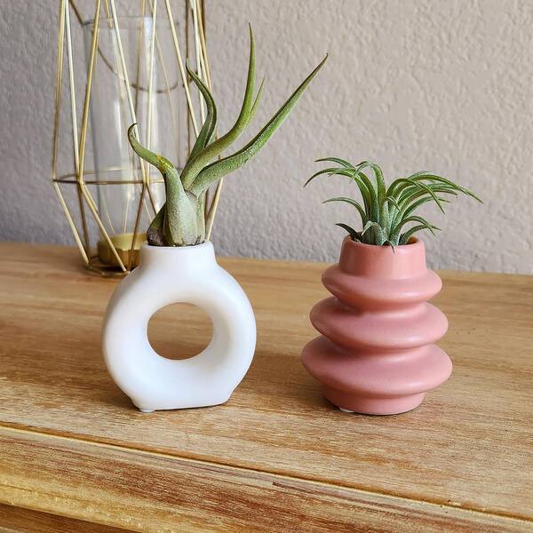 indoor standing planter Spring Wire Planter Stand: Elegant Stainless Steel Holder for Plants   Letifly Lights & Decor