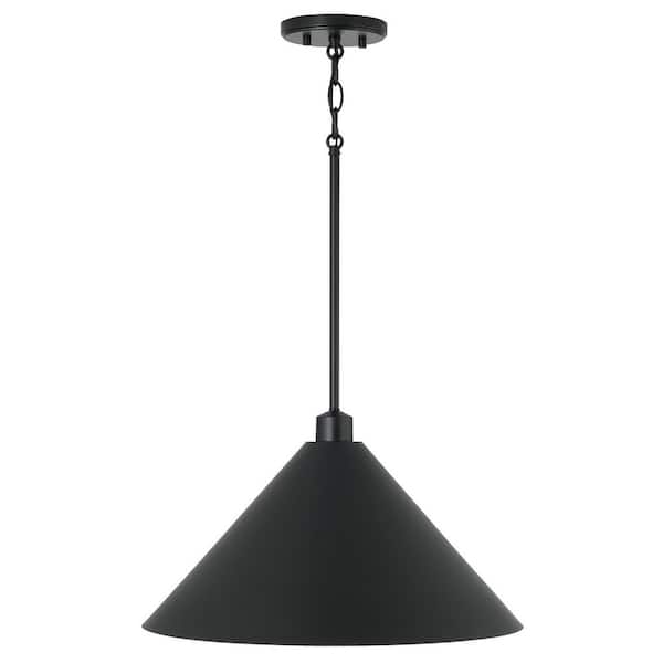 Capital Lighting Fixture Company Alden 100-Watt 1-Light Matte