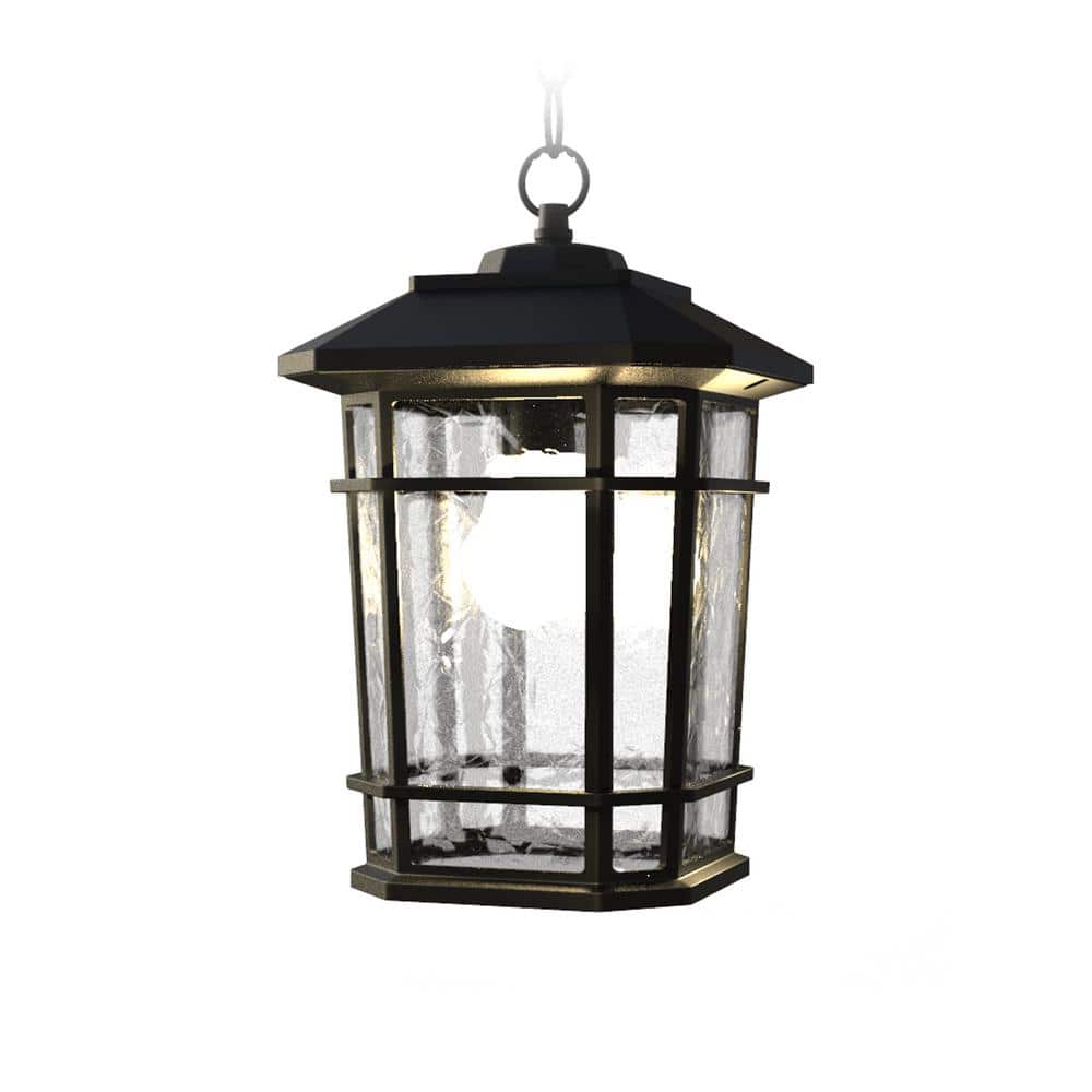 Williams Matte Black LED Outdoor Hanging Lantern with Clear Glass