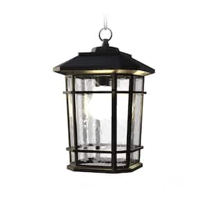 Williams 14 in. 1-Light Black Dimmable Outdoor Pendant Light with Clear Glass and 8-Watt LED Bulb