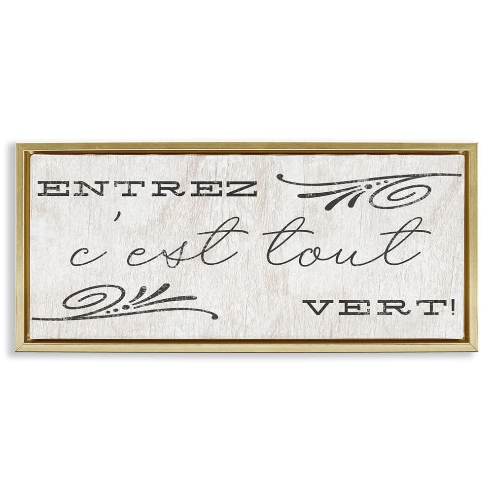 French Come In Phrase by Daphne Polselli Gold Floater Frame Typography Graphic Art Print 14 in. x 31 in. price history on PriceWatchPro