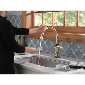 Cassidy Touch Single-Handle Pull-Down Sprayer Kitchen Faucet in Lumicoat Polished Nickel