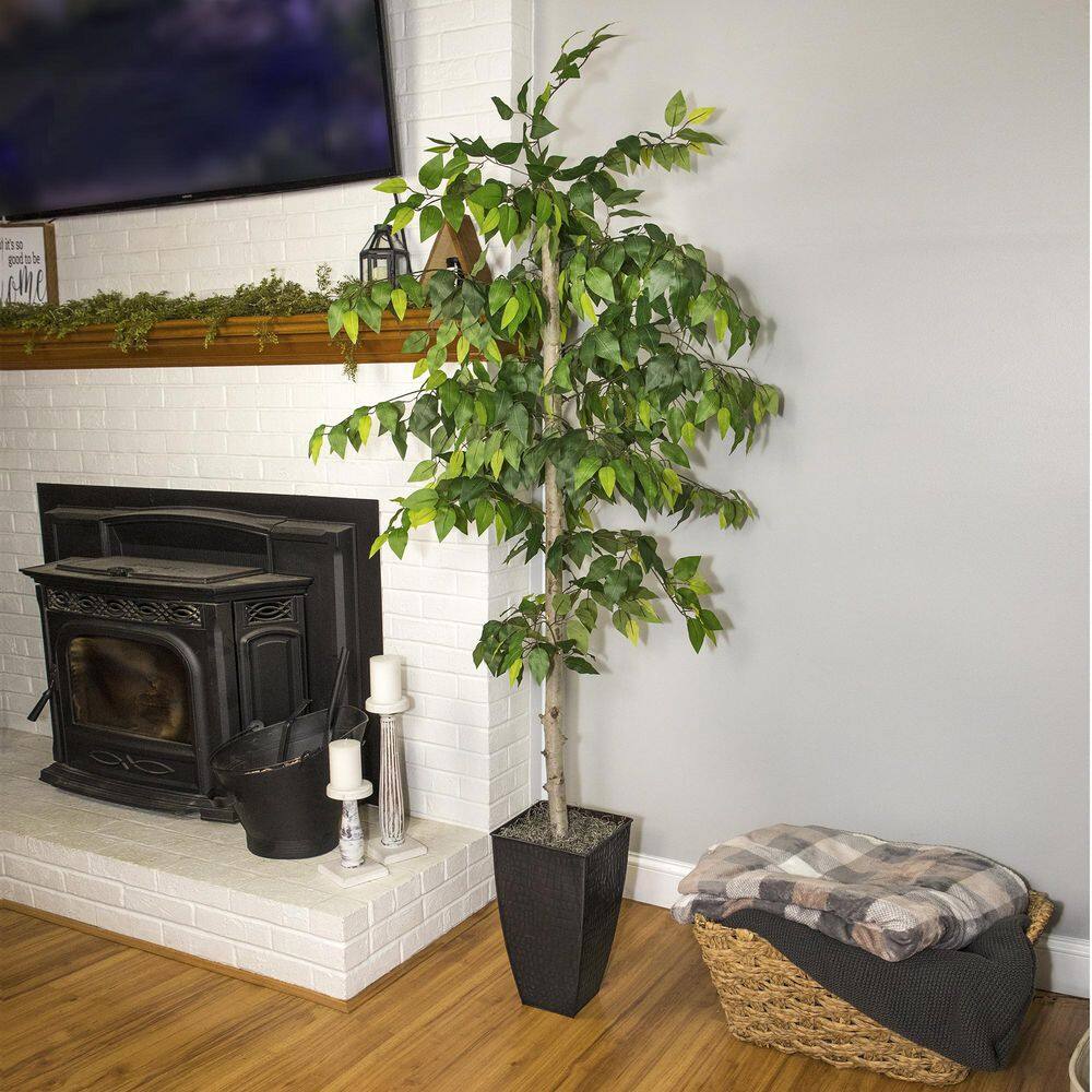 6' Green Artificial Ficus Tree in Black Metal Planter