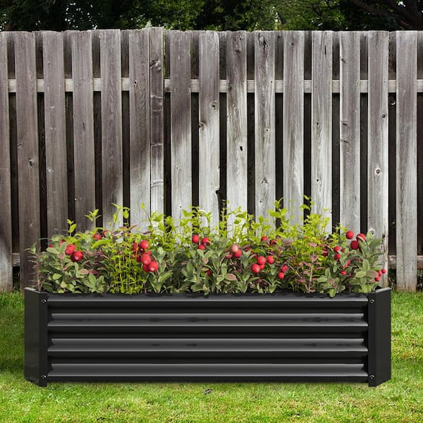 Stance Flower Beds Wholester, Black, Medium : : Sports & Outdoors