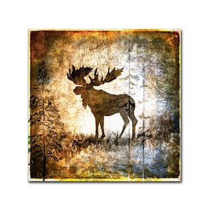 18 in. x 18 in. High Country Moose by LightBoxJournal Floater Frame Animal Wall Art